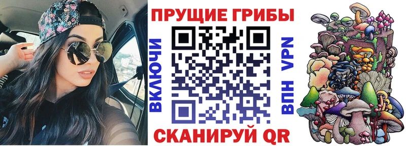 ОМГ ОМГ онион  Сортавала  Псилоцибиновые грибы мицелий 